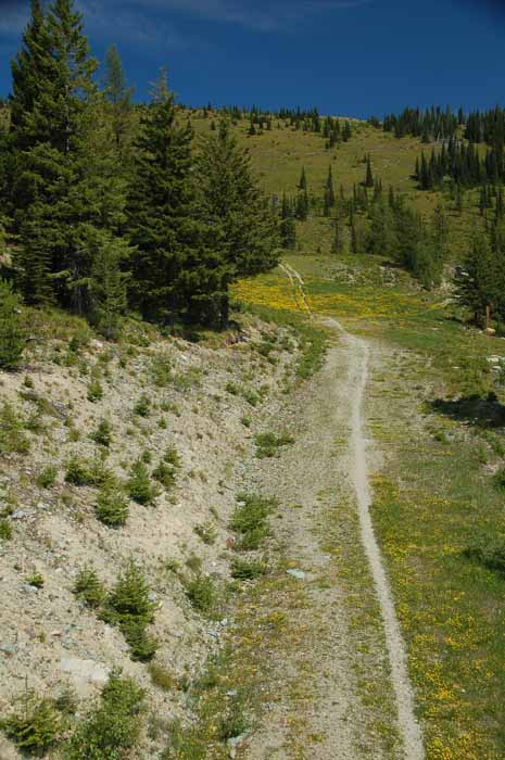 from the Big Mountain chairlift